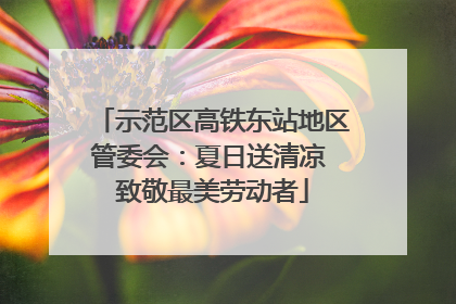 示范区高铁东站地区管委会：夏日送清凉 致敬最美劳动者