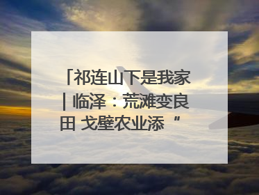 祁连山下是我家｜临泽：荒滩变良田 戈壁农业添“绿”生“金”
