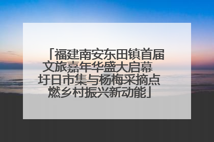 福建南安东田镇首届文旅嘉年华盛大启幕 圩日市集与杨梅采摘点燃乡村振兴新动能