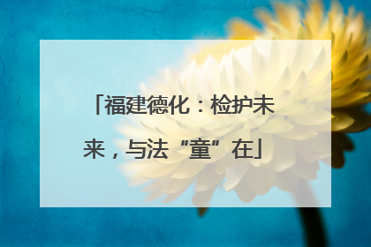 福建德化：检护未来，与法“童”在