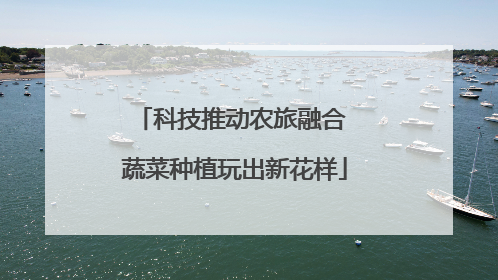 科技推动农旅融合 蔬菜种植玩出新花样