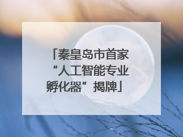 秦皇岛市首家“人工智能专业孵化器”揭牌