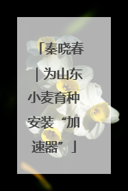 秦晓春｜为山东小麦育种安装“加速器”