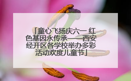 童心飞扬庆六一 红色基因永传承——西安经开区各学校举办多彩活动欢度儿童节
