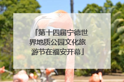 第十四届宁德世界地质公园文化旅游节在福安开幕