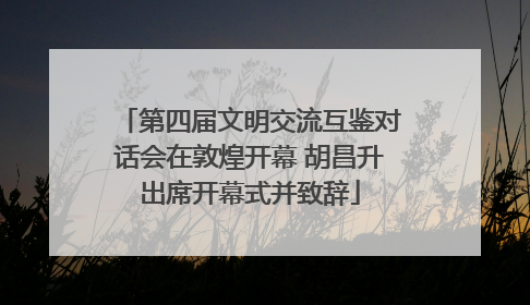 第四届文明交流互鉴对话会在敦煌开幕 胡昌升出席开幕式并致辞