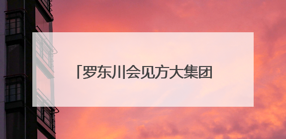 罗东川会见方大集团董事局主席方威一行