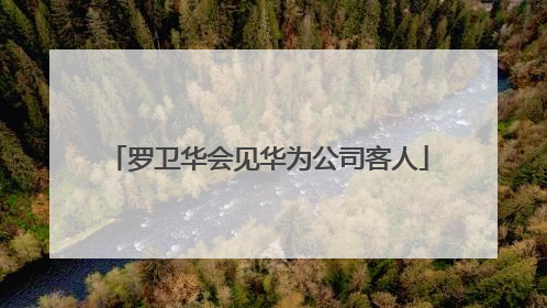 罗卫华会见华为公司客人