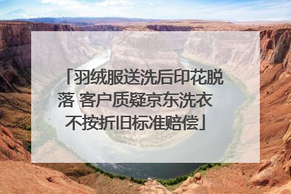 羽绒服送洗后印花脱落 客户质疑京东洗衣不按折旧标准赔偿
