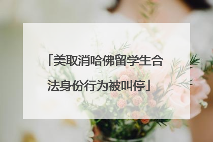 美取消哈佛留学生合法身份行为被叫停