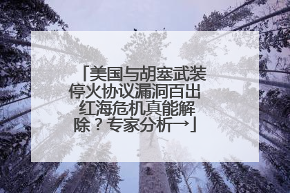美国与胡塞武装停火协议漏洞百出 红海危机真能解除？专家分析→