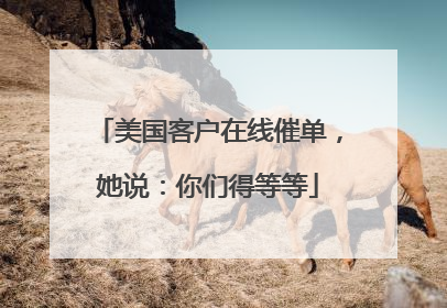 美国客户在线催单，她说：你们得等等
