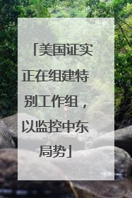 美国证实正在组建特别工作组，以监控中东局势