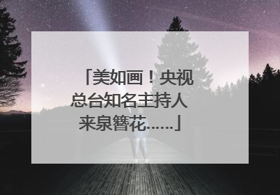 美如画！央视总台知名主持人来泉簪花……