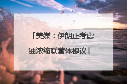 美媒：伊朗正考虑铀浓缩联营体提议