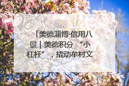 美德淄博·信用八景｜美德积分 “小杠杆”，撬动牟村文明 “大能量”