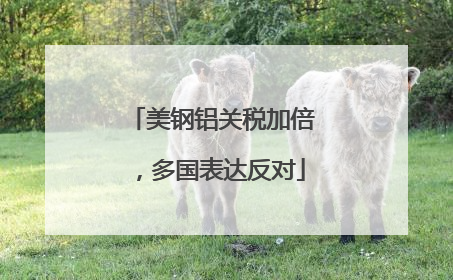 美钢铝关税加倍，多国表达反对