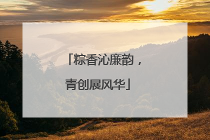 粽香沁廉韵，青创展风华