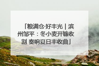 粮满仓·好丰光｜滨州邹平：冬小麦开镰收割 奏响夏日丰收曲