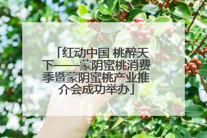 红动中国 桃醉天下——蒙阴蜜桃消费季暨蒙阴蜜桃产业推介会成功举办