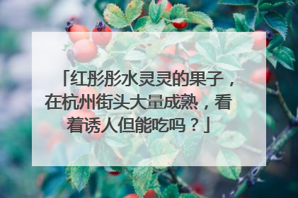 红彤彤水灵灵的果子，在杭州街头大量成熟，看着诱人但能吃吗？