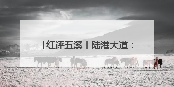 红评五溪丨陆港大道：以基建升级之笔，书鹤中一体化理念革新之章