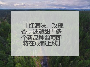 红酒味、玫瑰香，还超甜！多个新品种葡萄即将在成都上线