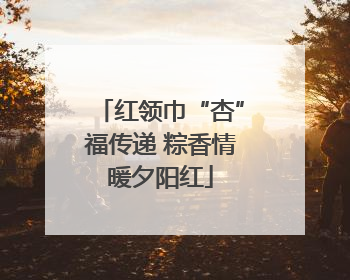 红领巾“杏”福传递 粽香情暖夕阳红