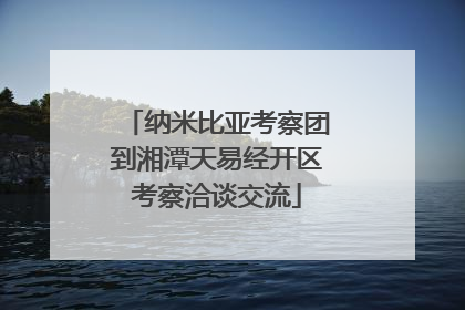 纳米比亚考察团到湘潭天易经开区考察洽谈交流