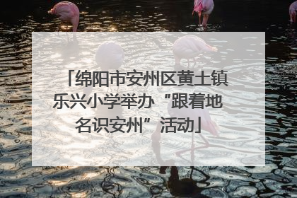 绵阳市安州区黄土镇乐兴小学举办“跟着地名识安州”活动
