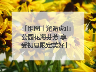 组图丨邂逅虎山公园花海芬芳 享受初夏限定美好