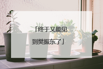 终于又能见到樊振东了