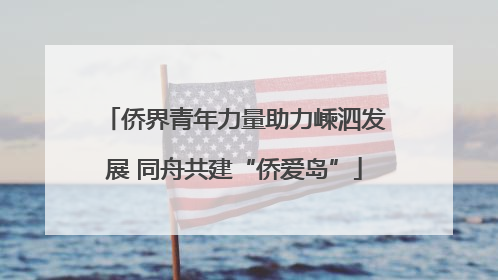 侨界青年力量助力嵊泗发展 同舟共建“侨爱岛”