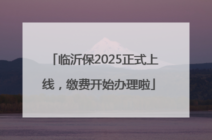 临沂保2025正式上线，缴费开始办理啦