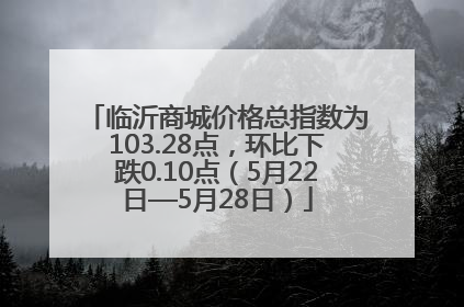 临沂商城价格总指数为103.28点，环比下跌0.10点（5月22日—5月28日）