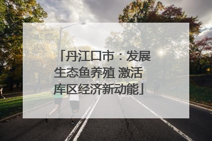 丹江口市：发展生态鱼养殖 激活库区经济新动能