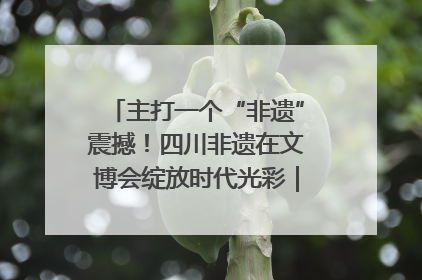 主打一个“非遗”震撼！四川非遗在文博会绽放时代光彩｜文博向“新”