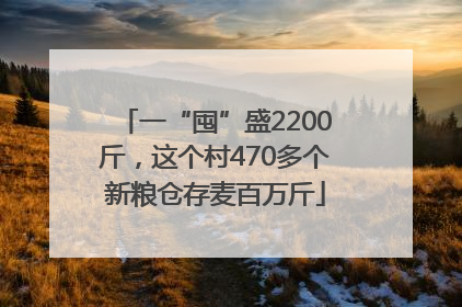 一“囤”盛2200斤，这个村470多个新粮仓存麦百万斤