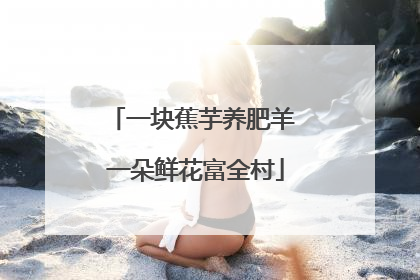 一块蕉芋养肥羊 一朵鲜花富全村