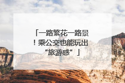 一路繁花一路景！乘公交也能玩出“旅游感”