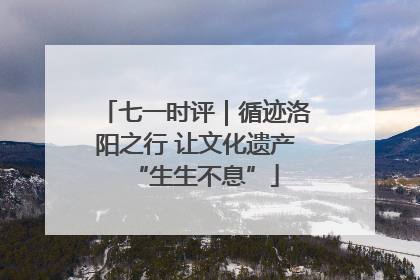 七一时评｜循迹洛阳之行 让文化遗产“生生不息”