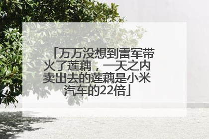 万万没想到雷军带火了莲藕，一天之内卖出去的莲藕是小米汽车的22倍