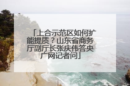 上合示范区如何扩能提质？山东省商务厅副厅长张庆伟答央广网记者问