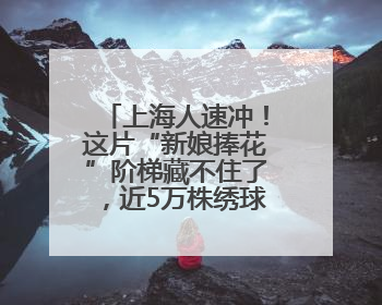 上海人速冲！这片“新娘捧花”阶梯藏不住了，近5万株绣球花如梦似幻