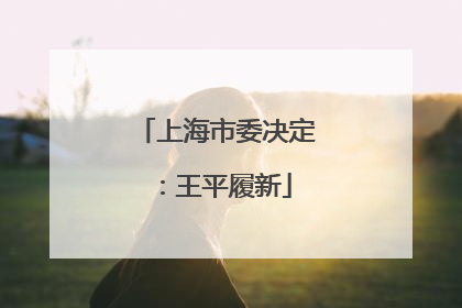 上海市委决定：王平履新