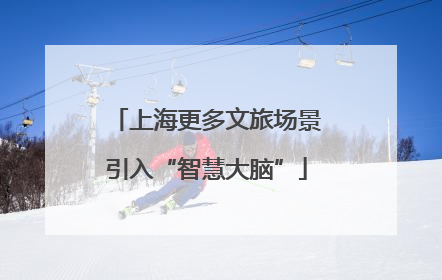 上海更多文旅场景引入“智慧大脑”