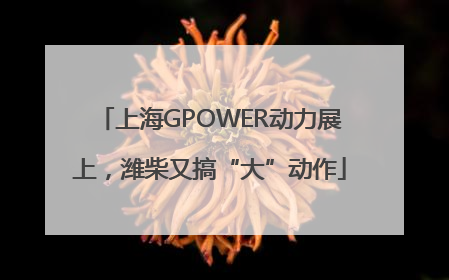 上海GPOWER动力展上，潍柴又搞“大”动作