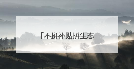不拼补贴拼生态，总部项目纷至沓来 招商“反内卷”下的光谷之变