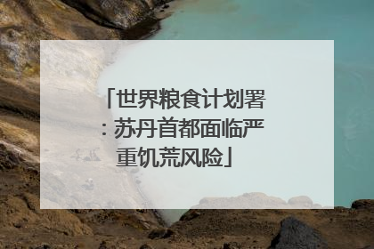 世界粮食计划署：苏丹首都面临严重饥荒风险