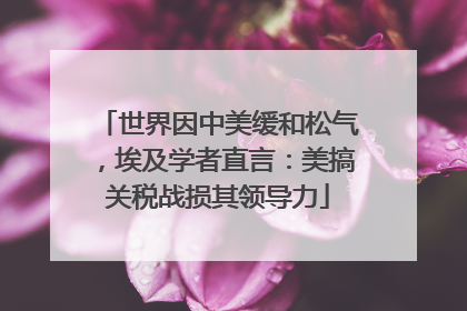 世界因中美缓和松气，埃及学者直言：美搞关税战损其领导力